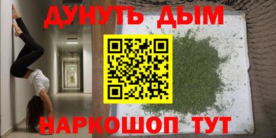 стафф Краснознаменск