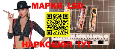 стафф Краснознаменск