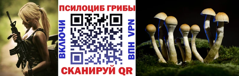 Псилоцибиновые грибы мицелий  Каменка 