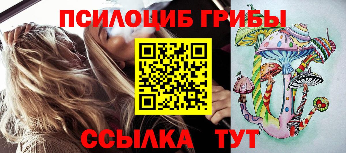 Галлюциногенные грибы GOLDEN TEACHER  Вход с VPN  Псилоцибиновые грибы прущие грибы  Каменка 
